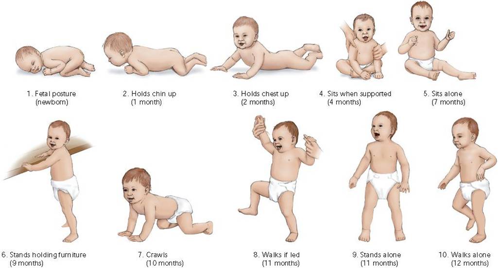 desenvolvimento do bebe